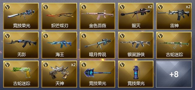 穿越火线（CF）21V武器 1V角色 4皮肤 可排位 新锐