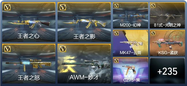 穿越火线：枪战王者19王者武器 244英雄武器 6英雄角色 369万化 大师SS