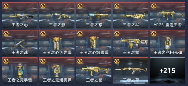 穿越火线：枪战王者V7 12王者 238英雄武器 6英雄角色 310万化 大师S