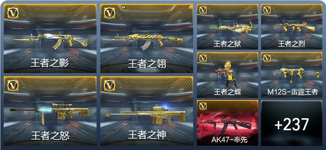 穿越火线：枪战王者V8 16王者武器 273英雄武器 12英雄角色 606万化 枪王SSS