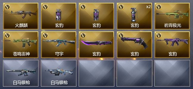 穿越火线（CF）11V武器 3皮肤 可排位 枪王