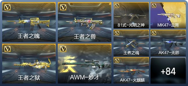 穿越火线：枪战王者5王者武器 93英雄武器 4英雄角色 219万化 专家S