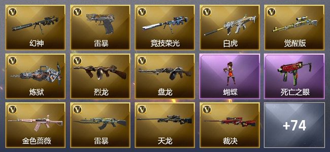 穿越火线（CF）17王者武器 5炫金武器 147V武器 25V角色 39皮肤 可排位