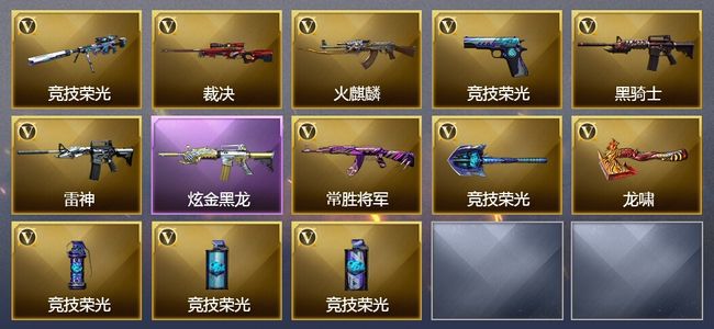 穿越火线（CF）2王者武器 1炫金武器 28V武器 25V角色 7皮肤 可排位