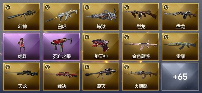 穿越火线（CF）20王者武器 7炫金武器 178V武器 19V角色 26皮肤 可排位