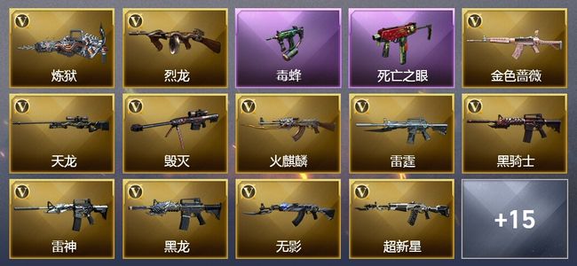 穿越火线（CF）1王者武器 3炫金武器 53V武器 19V角色 5皮肤 可排位