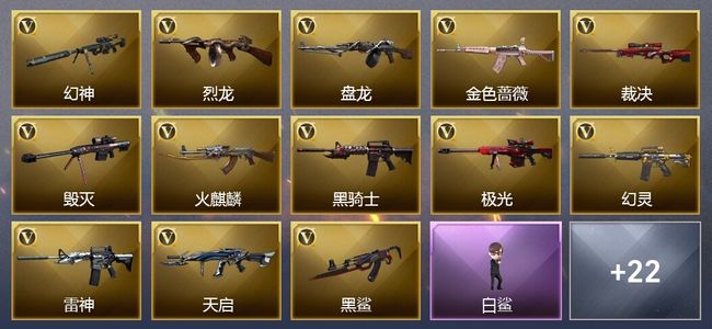 穿越火线（CF）1王者武器 2炫金武器 56V武器 8V角色 9皮肤 可排位