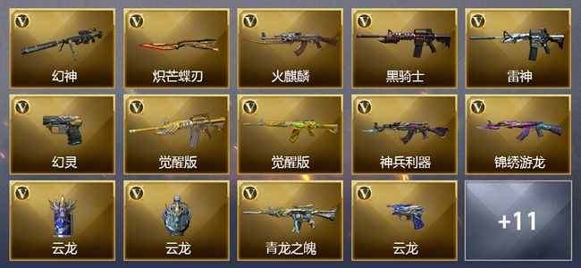 穿越火线（CF）3王者武器 34V武器 18V角色 7皮肤 可排位