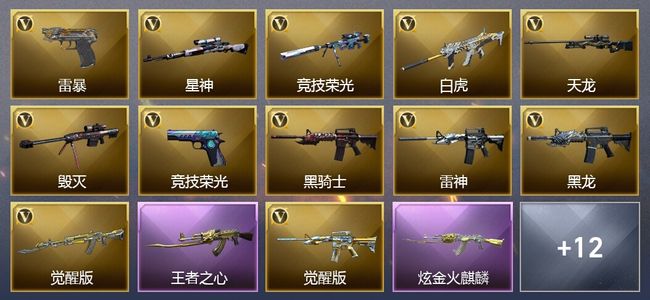 穿越火线（CF）3王者武器 1炫金武器 27V武器 15V角色 9皮肤 可排位