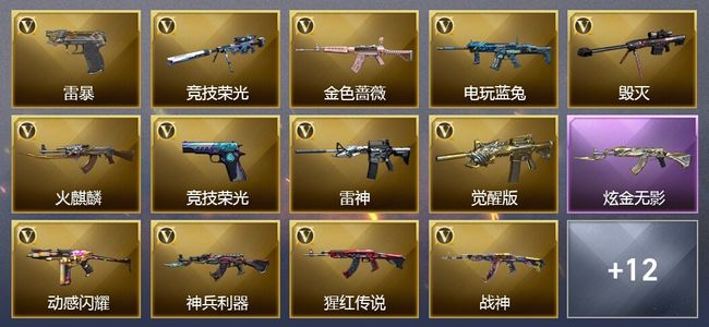穿越火线（CF）1王者武器 1炫金武器 30V武器 19V角色 12皮肤 可排位