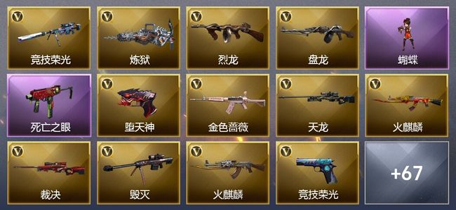 穿越火线（CF）3传说武器 11王者武器 9炫金武器 183V武器 22V角色 30皮肤 可排位