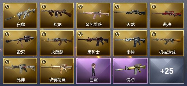 穿越火线（CF）4王者武器 1炫金武器 27V武器 20V角色 14皮肤 可排位