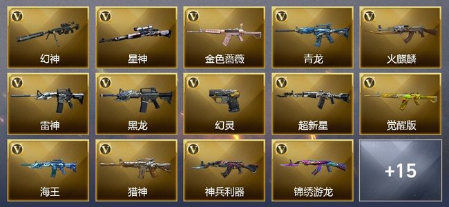 穿越火线（CF）2王者武器 23V武器 17V角色 10皮肤 可排位