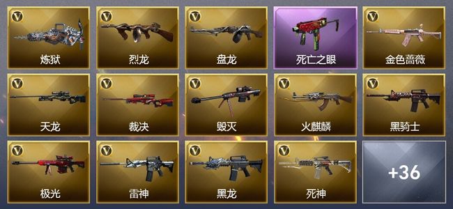 穿越火线（CF）6王者武器 12炫金武器 58V武器 19V角色 12皮肤 可排位