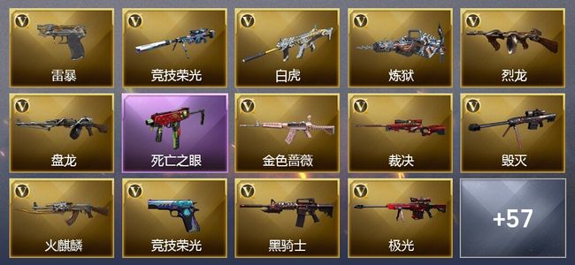 穿越火线（CF）9王者武器 1炫金武器 115V武器 20V角色 28皮肤 可排位