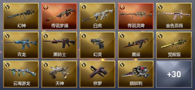 穿越火线（CF）2传说武器 6王者武器 40V武器 17V角色 11皮肤 可排位