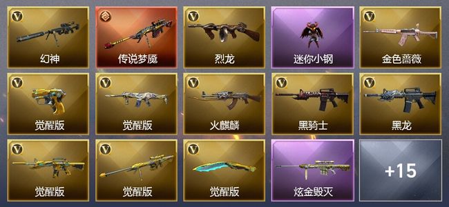 穿越火线（CF）1传说武器 10王者武器 1炫金武器 16V武器 15V角色 3皮肤 可排位