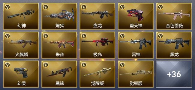 穿越火线（CF）11王者武器 54V武器 26V角色 10皮肤 可排位