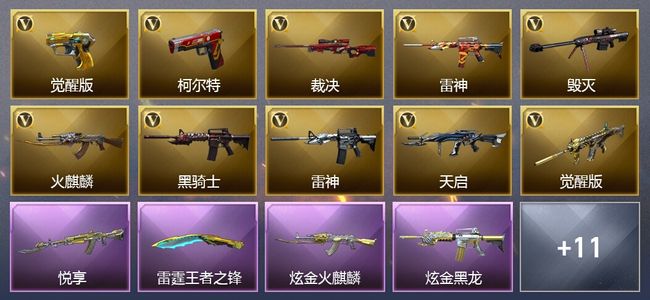 穿越火线（CF）27王者武器 2炫金武器 13V武器 13V角色 8皮肤 可排位
