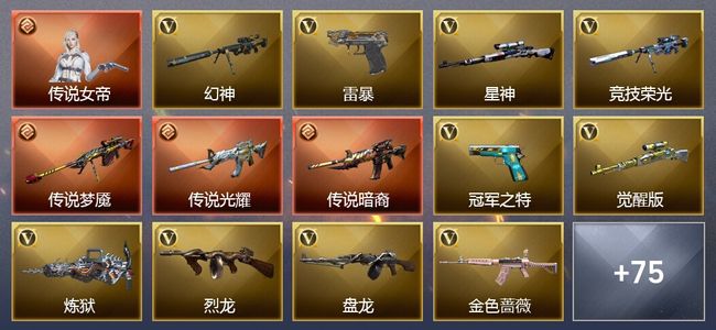 穿越火线（CF）1传说角色 3传说武器 47王者武器 1炫金武器 88V武器 25V角色 48皮肤 可排位