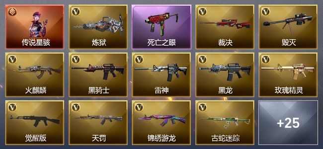 穿越火线（CF）1传说角色 1王者武器 29V武器 36V角色 12皮肤 可排位