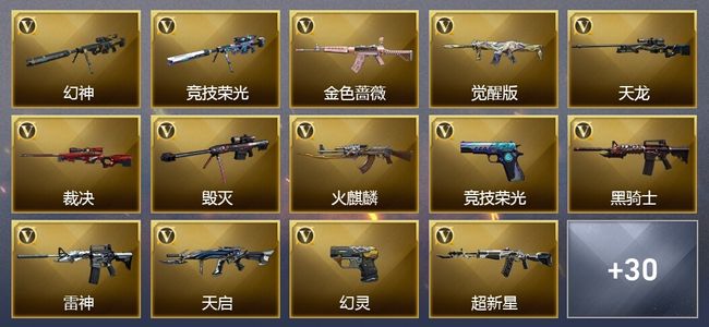 穿越火线（CF）3王者武器 55V武器 12V角色 12皮肤 可排位