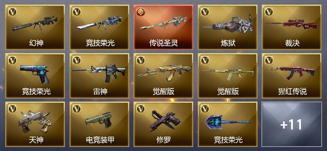 穿越火线（CF）1传说武器 4王者武器 24V武器 5V角色 4皮肤 可排位