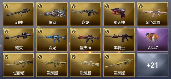 穿越火线（CF）10王者武器 46V武器 16V角色 3皮肤 可排位