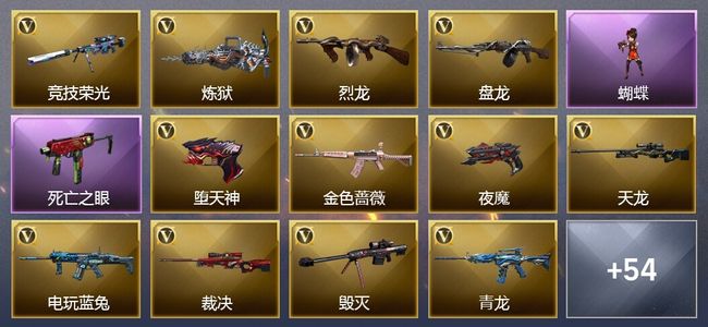 穿越火线（CF）6王者武器 8炫金武器 92V武器 28V角色 17皮肤 可排位