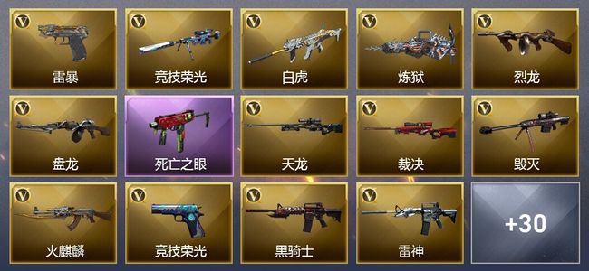 穿越火线（CF）2王者武器 4炫金武器 67V武器 12V角色 5皮肤 可排位