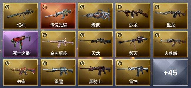 穿越火线（CF）1传说武器 10王者武器 3炫金武器 87V武器 13V角色 15皮肤 可排位