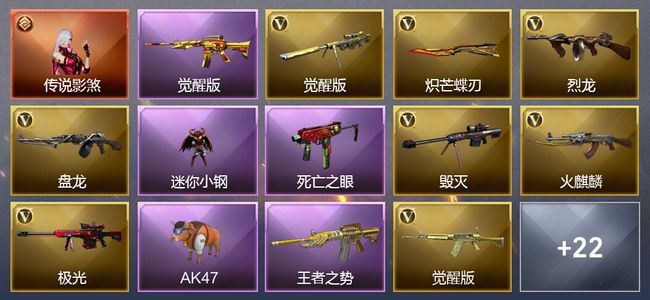 穿越火线（CF）1传说角色 6王者武器 1炫金武器 28V武器 24V角色 4皮肤 可排位