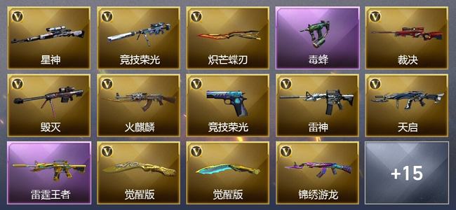 穿越火线（CF）12王者武器 19V武器 20V角色 12皮肤 可排位