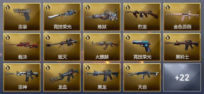 穿越火线（CF）3王者武器 2炫金武器 44V武器 5V角色 7皮肤 可排位