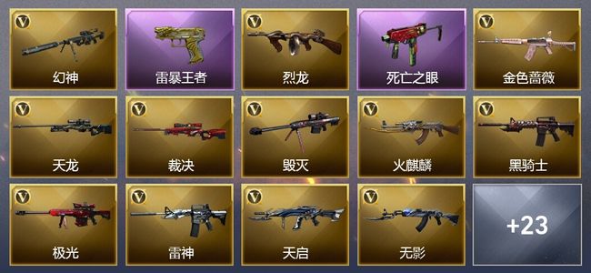 穿越火线（CF）4王者武器 2炫金武器 42V武器 14V角色 9皮肤 可排位