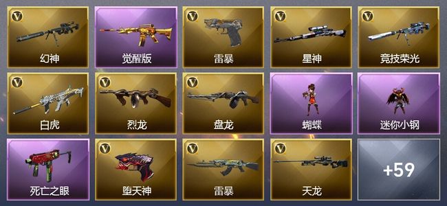 穿越火线（CF）10王者武器 107V武器 20V角色 21皮肤 可排位