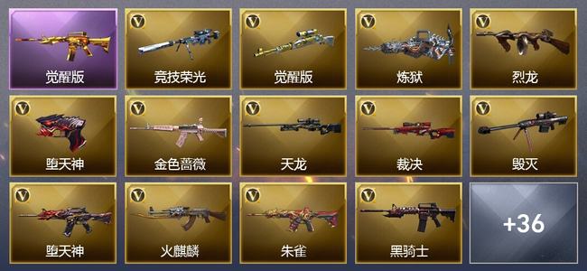 穿越火线（CF）4王者武器 2炫金武器 59V武器 10V角色 13皮肤 可排位