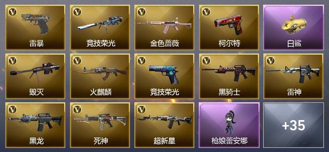 穿越火线（CF）0传说角色 0传说武器 2王者武器 0炫金武器 66V武器 34V角色 25皮肤 可排位 无