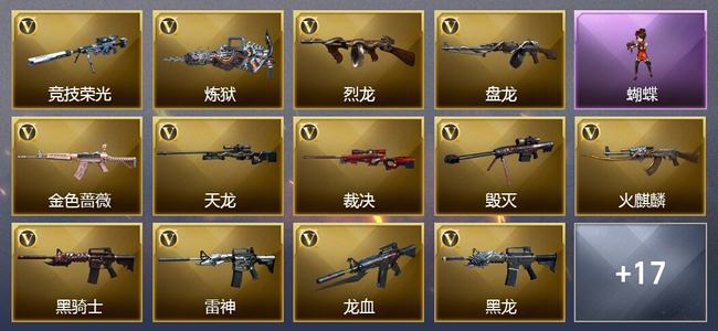 穿越火线（CF）0传说角色 0传说武器 1王者武器 6炫金武器 31V武器 13V角色 5皮肤 可排位 无