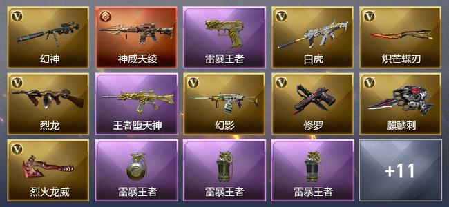 穿越火线（CF）0传说角色 1传说武器 13王者武器 0炫金武器 17V武器 21V角色 6皮肤 可排位 无