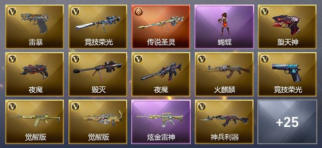 穿越火线（CF）0传说角色 1传说武器 2王者武器 1炫金武器 48V武器 19V角色 6皮肤 可排位 无