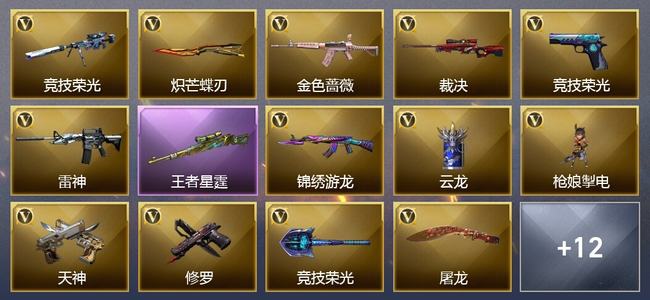 穿越火线（CF）0传说角色 0传说武器 2王者武器 0炫金武器 23V武器 14V角色 3皮肤 可排位 无
