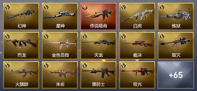 穿越火线（CF）0传说角色 1传说武器 14王者武器 5炫金武器 80V武器 30V角色 35皮肤 可排位 无
