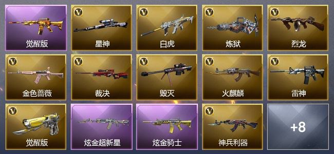 穿越火线（CF）0传说角色 0传说武器 1王者武器 2炫金武器 20V武器 6V角色 1皮肤 可排位 无