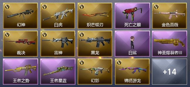 穿越火线（CF）0传说角色 0传说武器 2王者武器 0炫金武器 16V武器 16V角色 3皮肤 可排位 无