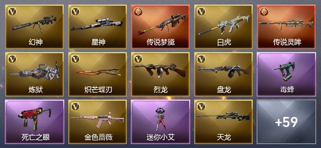 穿越火线（CF）0传说角色 3传说武器 0王者武器 2炫金武器 91V武器 35V角色 20皮肤 可排位 无