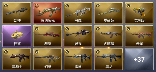 穿越火线（CF）0传说角色 1传说武器 1王者武器 3炫金武器 61V武器 17V角色 12皮肤 可排位 无