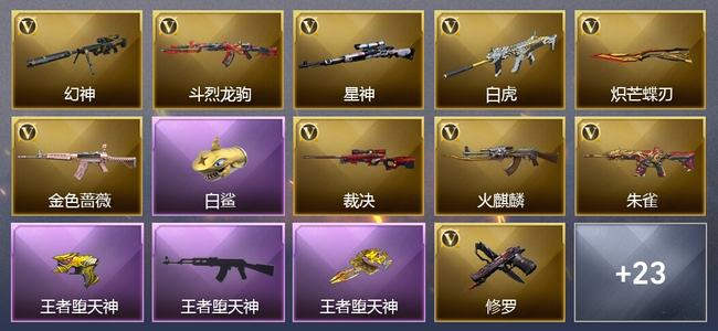 穿越火线（CF）0传说角色 0传说武器 4王者武器 0炫金武器 31V武器 14V角色 18皮肤 可排位 枪王