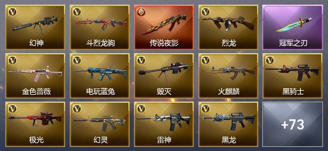 穿越火线（CF）0传说角色 1传说武器 12王者武器 1炫金武器 77V武器 34V角色 25皮肤 可排位 枪王