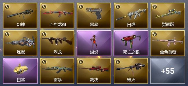 穿越火线（CF）0传说角色 0传说武器 0王者武器 1炫金武器 72V武器 31V角色 15皮肤 可排位 荣耀之巅